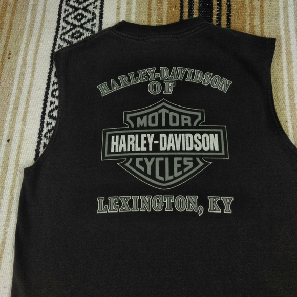 Harley-Davidson Other - HARLEY DAVIDSON MUSCLE SHIRT TEE MENS LEXINGTON KENTUCKY